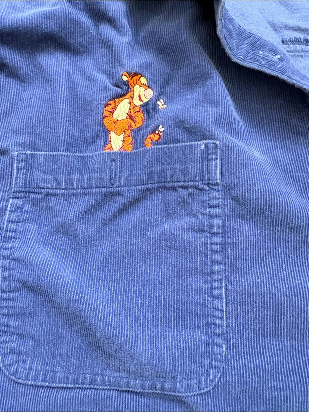 Disney Navy Blue Button-Down Shirt with Winnie the Pooh & Tigger Embroidery - Picture 6 of 9